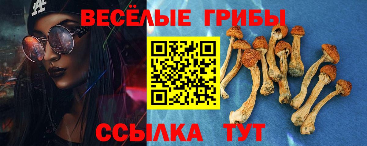 Канаш  где продают наркотики  Вход с VPN  Псилоцибиновые грибы ЛСД 
